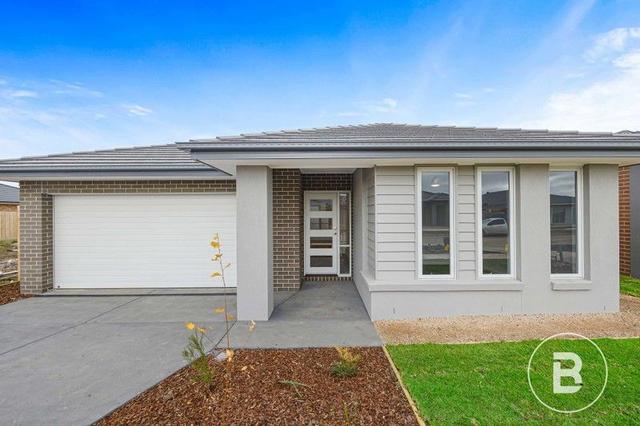 99 Anglesea  Street, VIC 3358