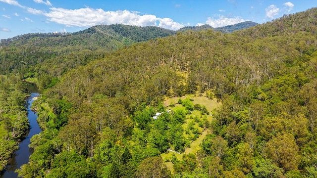 3645 Nowendoc Road, NSW 2424