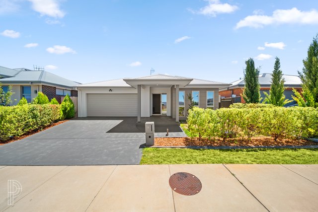 19 Newcombe Street, NSW 2620