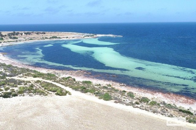 21 Edwardes Terrace, SA 5573