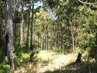 View of land