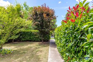 Front Gardens