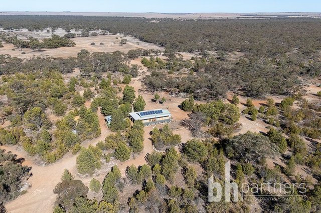 648 Goondooloo Road, SA 5238