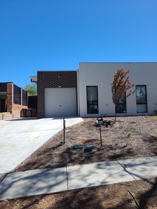 31A Williamson Street, ACT 2611