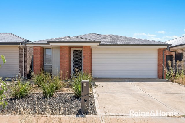 17 Cyclops Street, SA 5115