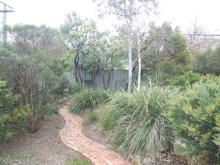 Backyard (2017-11-15)