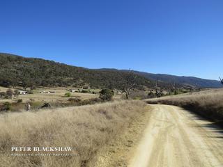 View towards block from Bumbalong Rd