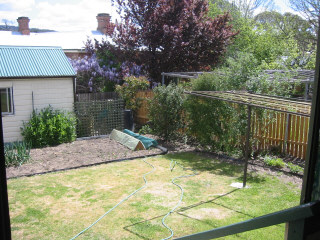 garden from verandah