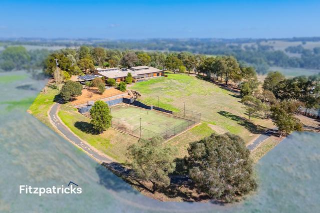 514 Coreinbob Siding Road, NSW 2650