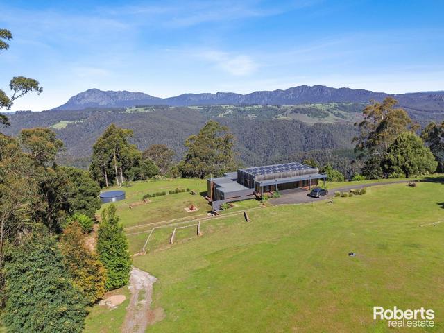 675 Cradle Mountain Road, TAS 7310