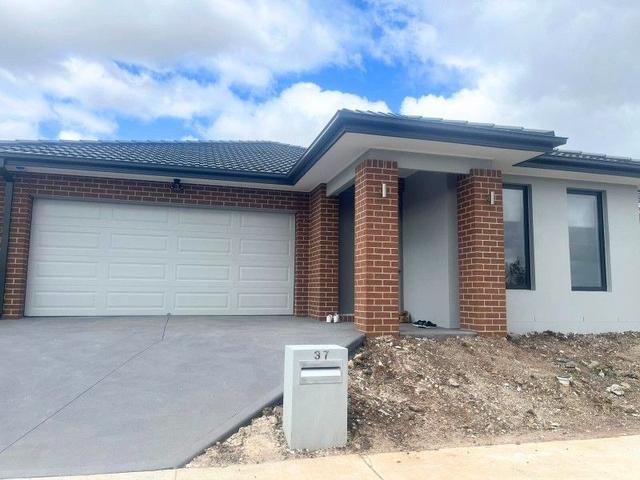 37 Blenril Avenue, VIC 3029