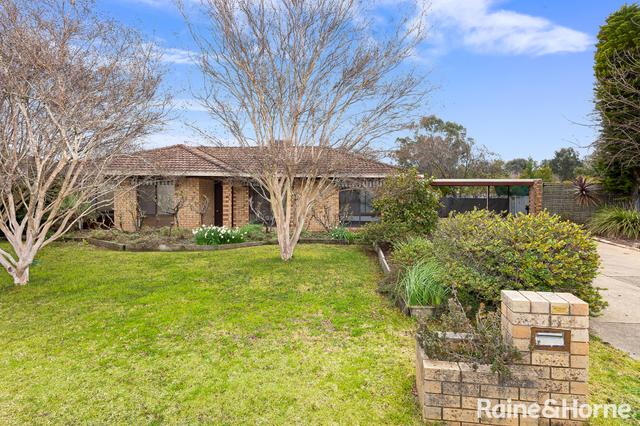 19 Maple Road, NSW 2650