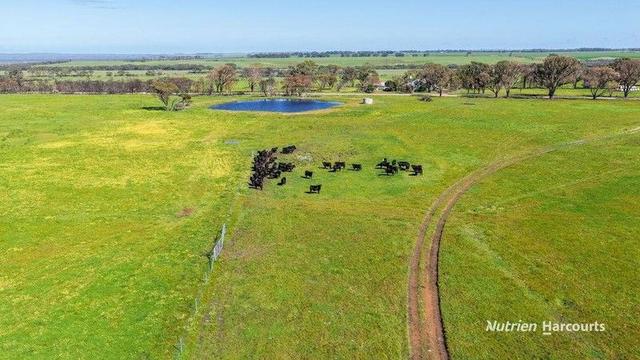 Lots 42 & 1395 Murray Road, WA 6450
