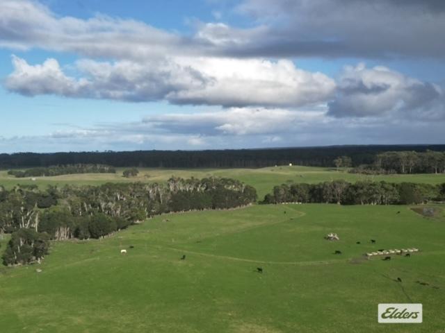 767 Mount Stanley Road, TAS 7256
