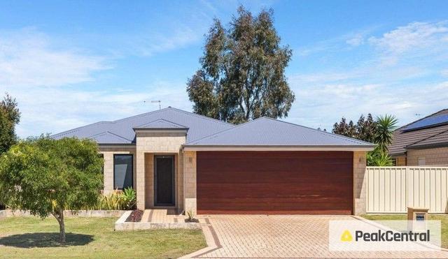 20 Warrego Street, WA 6164