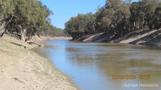 * Saltbush, 2389 Curranyalpa Road, NSW 2840