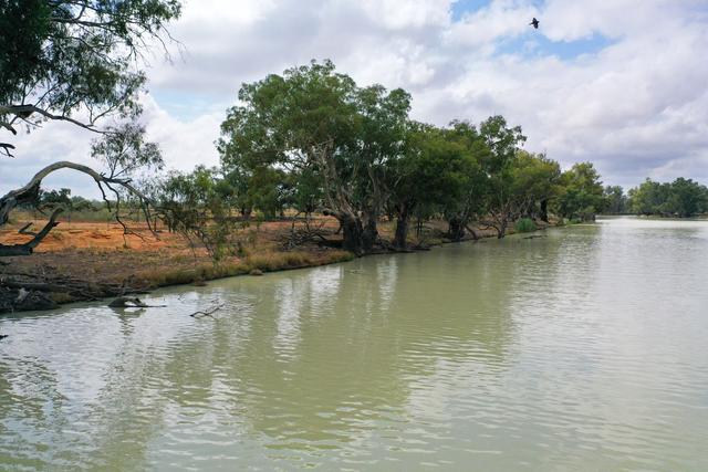 Lot 21 Darling River Estate Pomona Road, NSW 2648