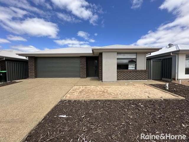 9 Badman Street, SA 5115