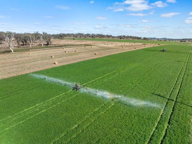 3095 Toowoomba Cecil Plains Road, QLD 4356