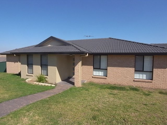 43 Henry Dangar Drive, NSW 2333