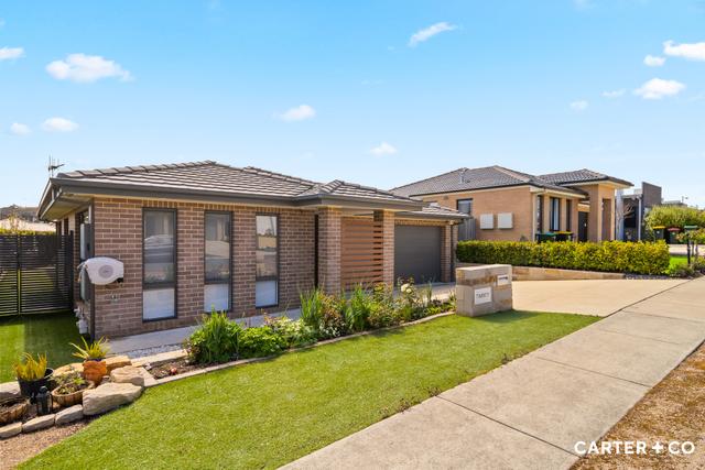 20 Isabel Flick Street, ACT 2914