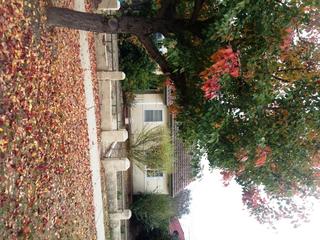 Front (2014-10-13)