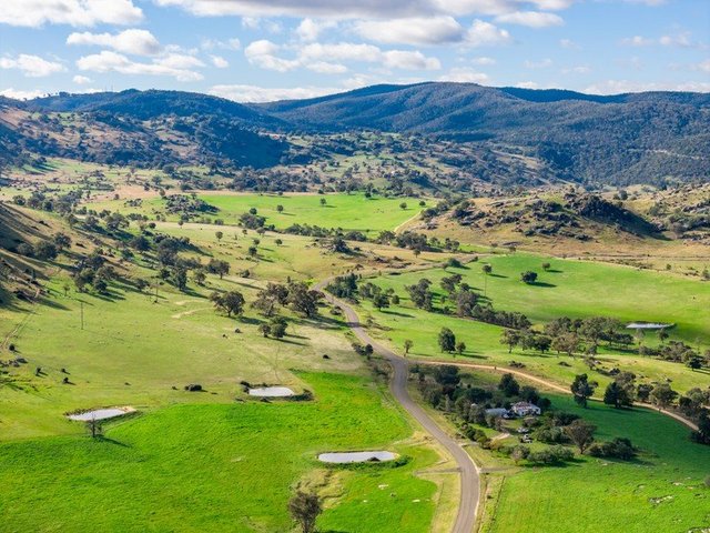 185 Trout Farm Road, NSW 2808