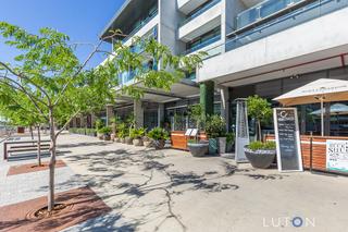 Kingston Foreshore (2019-11-19)