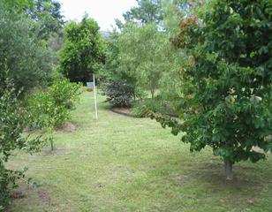 Garden (2007-12-24)