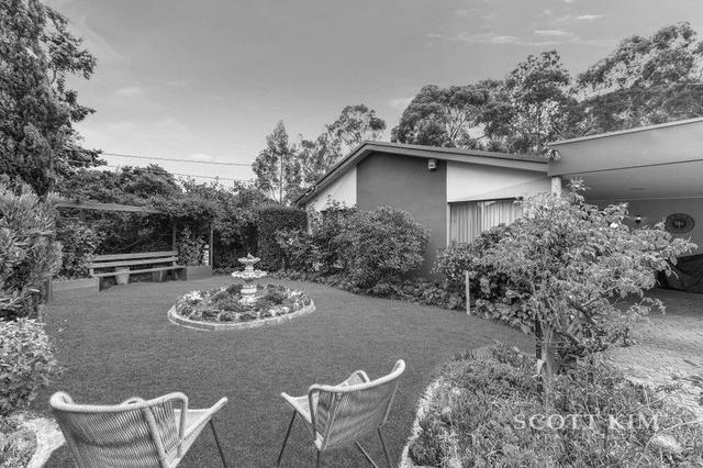 11 Stoneleigh Avenue, VIC 3155