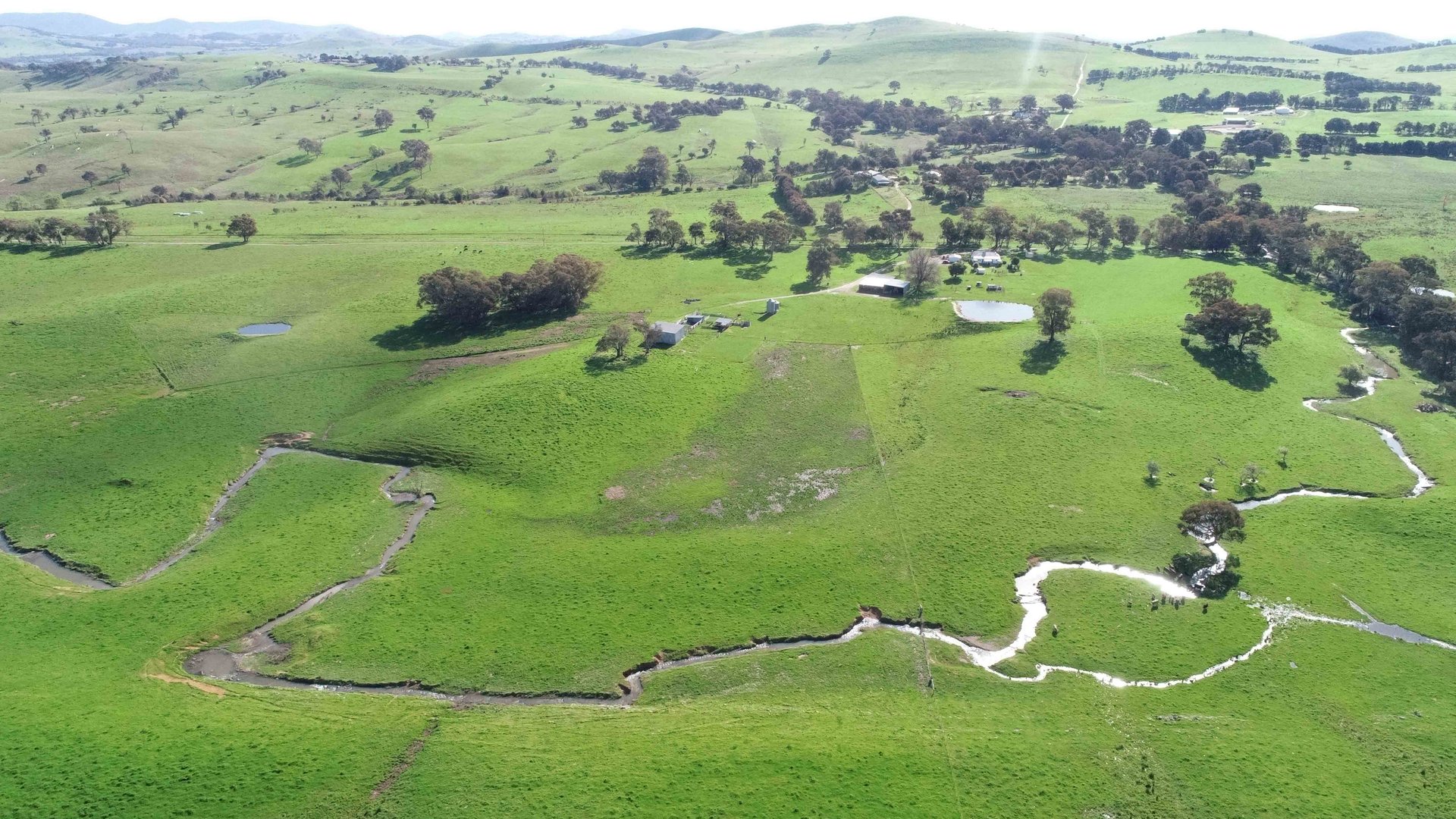 1597 Black Range Road, Bowning NSW 2582 Allhomes