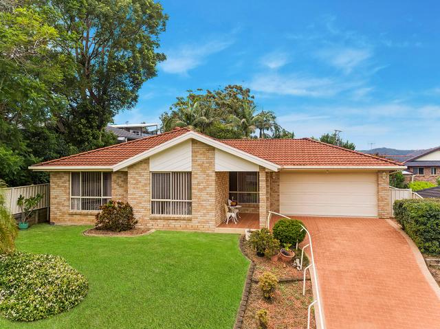 4 Tesoriero Tce, NSW 2261