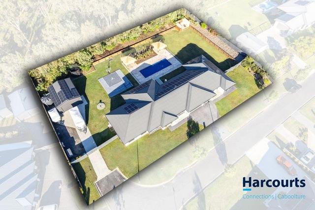 61 Elena Court, QLD 4516