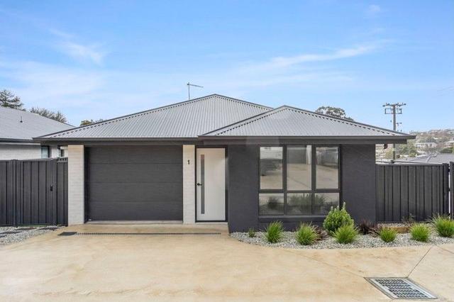 1/108 Pomona Rd, TAS 7250