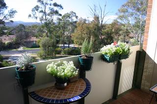 Outlook from balcony