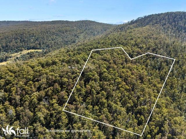 Lot 1/null Blackwells Road, TAS 7140