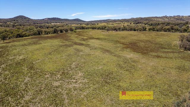 2493 Sandy Creek Road, NSW 2844