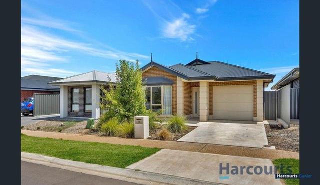 15 Jenkins Street, SA 5116