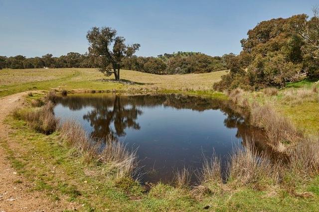 204 Hayes Gully Road, VIC 3522