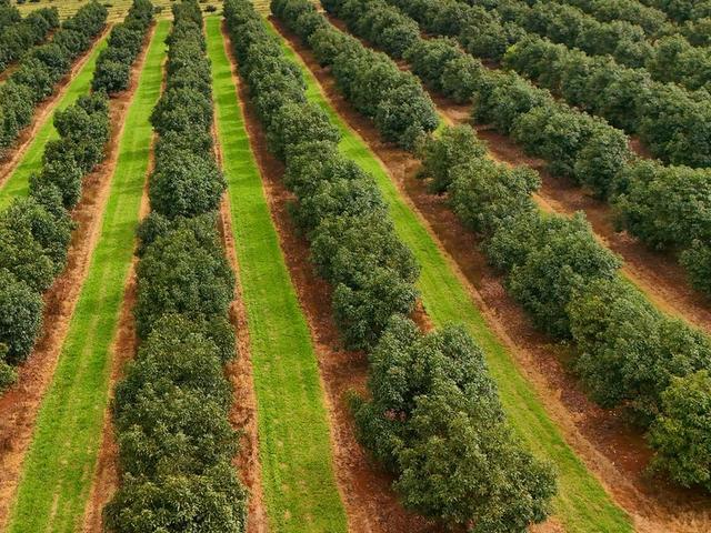 (no street name provided), QLD 4884