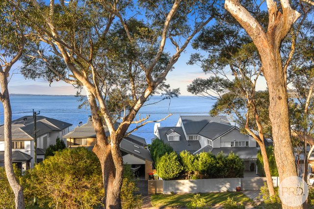 320 Wanda Avenue, NSW 2317