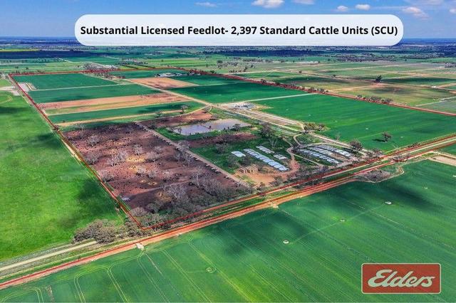 1350 Ryan  Road, VIC 3620