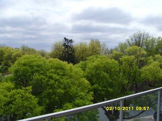 View (2011-10-14)