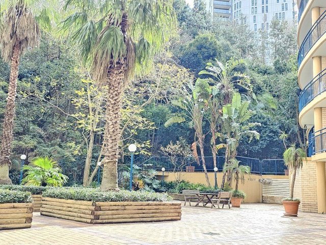 Terrace/122 Saunders Street, NSW 2009