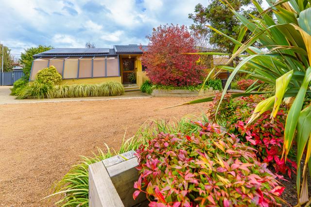 19 Paloona Place, ACT 2611