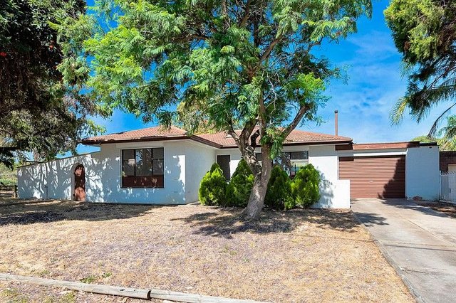 49 Cinnamon Avenue, SA 5097