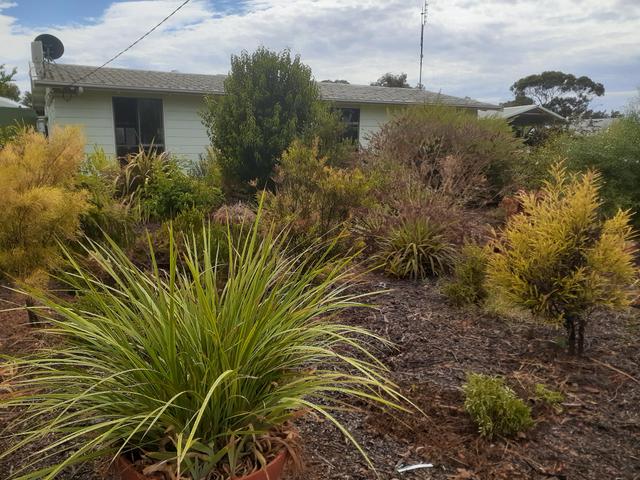 10 Coghill St, VIC 3546