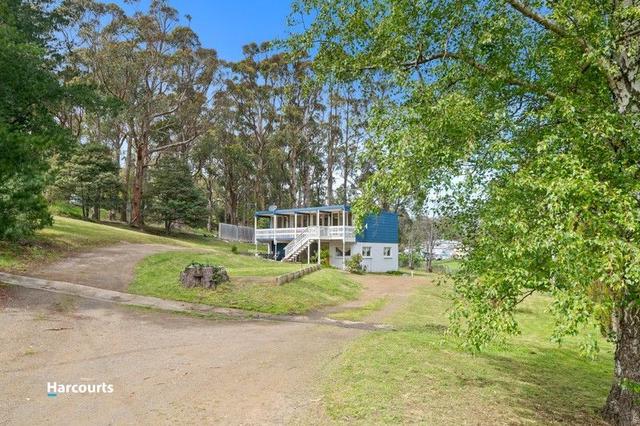 38 Mountain River Road, TAS 7109