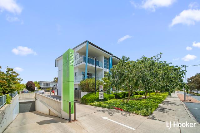 38/329 Flemington Road, ACT 2913