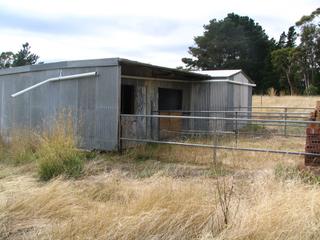 Dble Stables & Shed